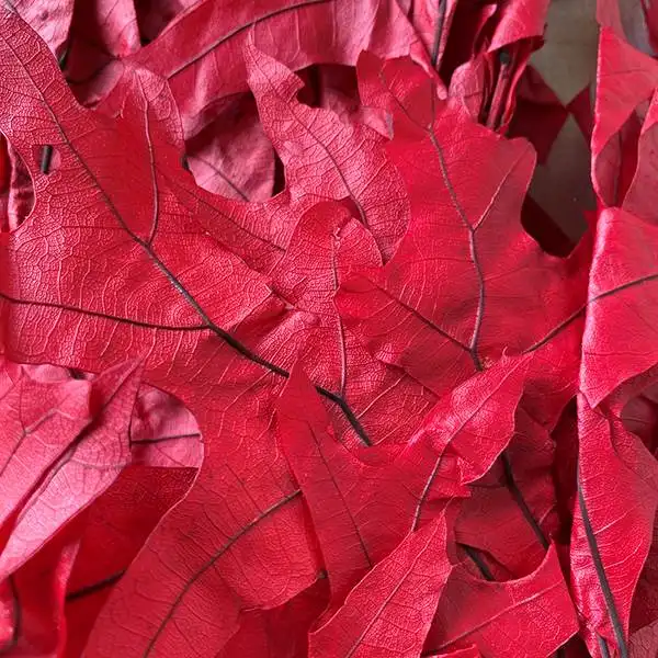 1 lb Transparent Red Oak Leaves