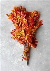 8 oz Transparent Oak Autumn Leaves