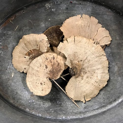 Natural Sponge Mushroom, 6-Bunch