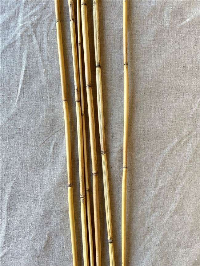 3-5' Natural River Cane, 25-Bunch