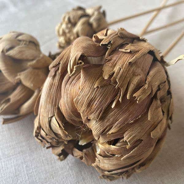 Natural Chico Chokes, 5-Bunch