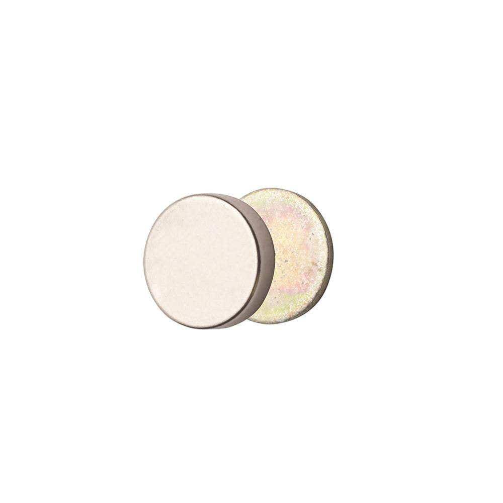 Lomey Corsage Magnets, 12-Pack