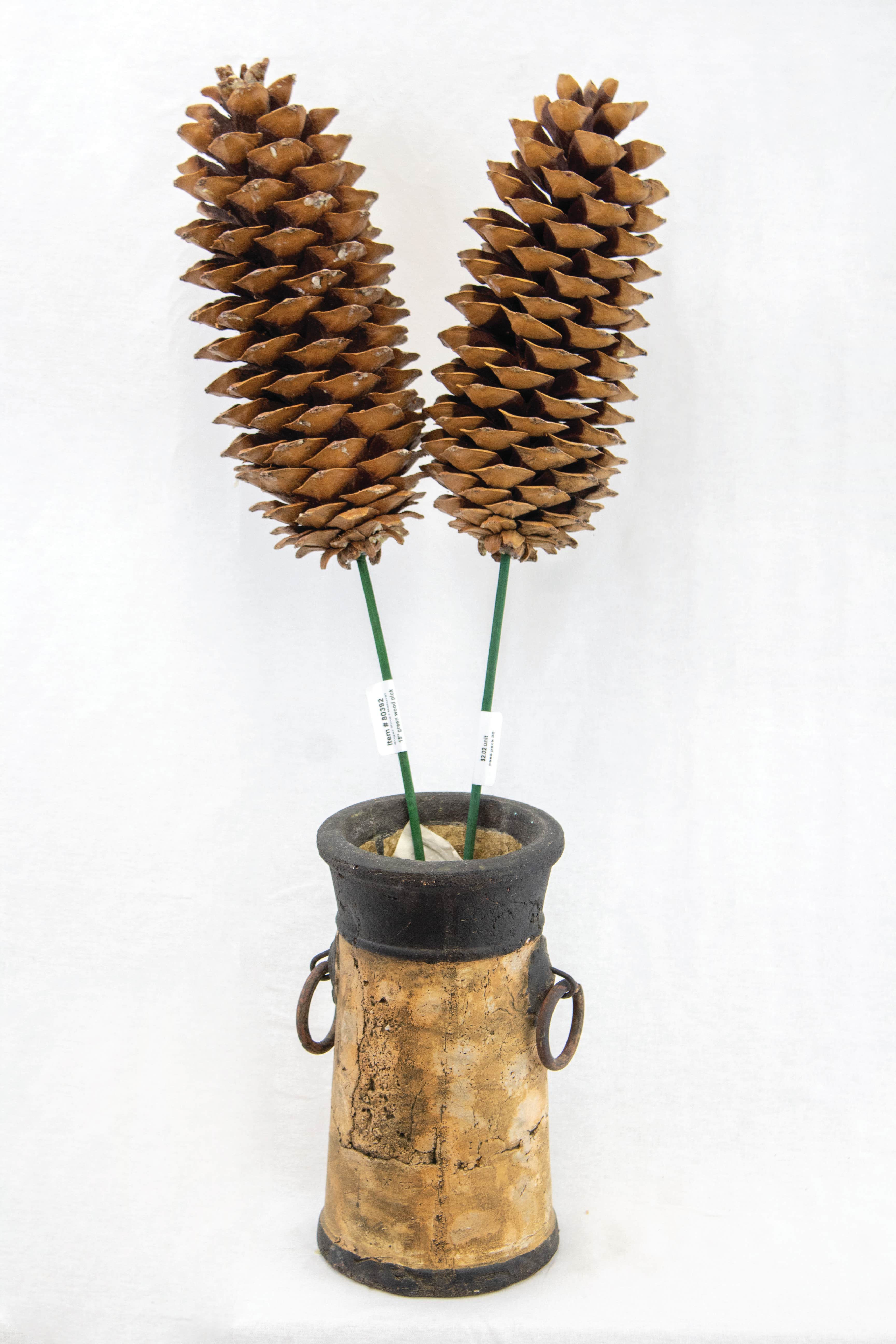 15 Natural Sugar Pinecone Pick