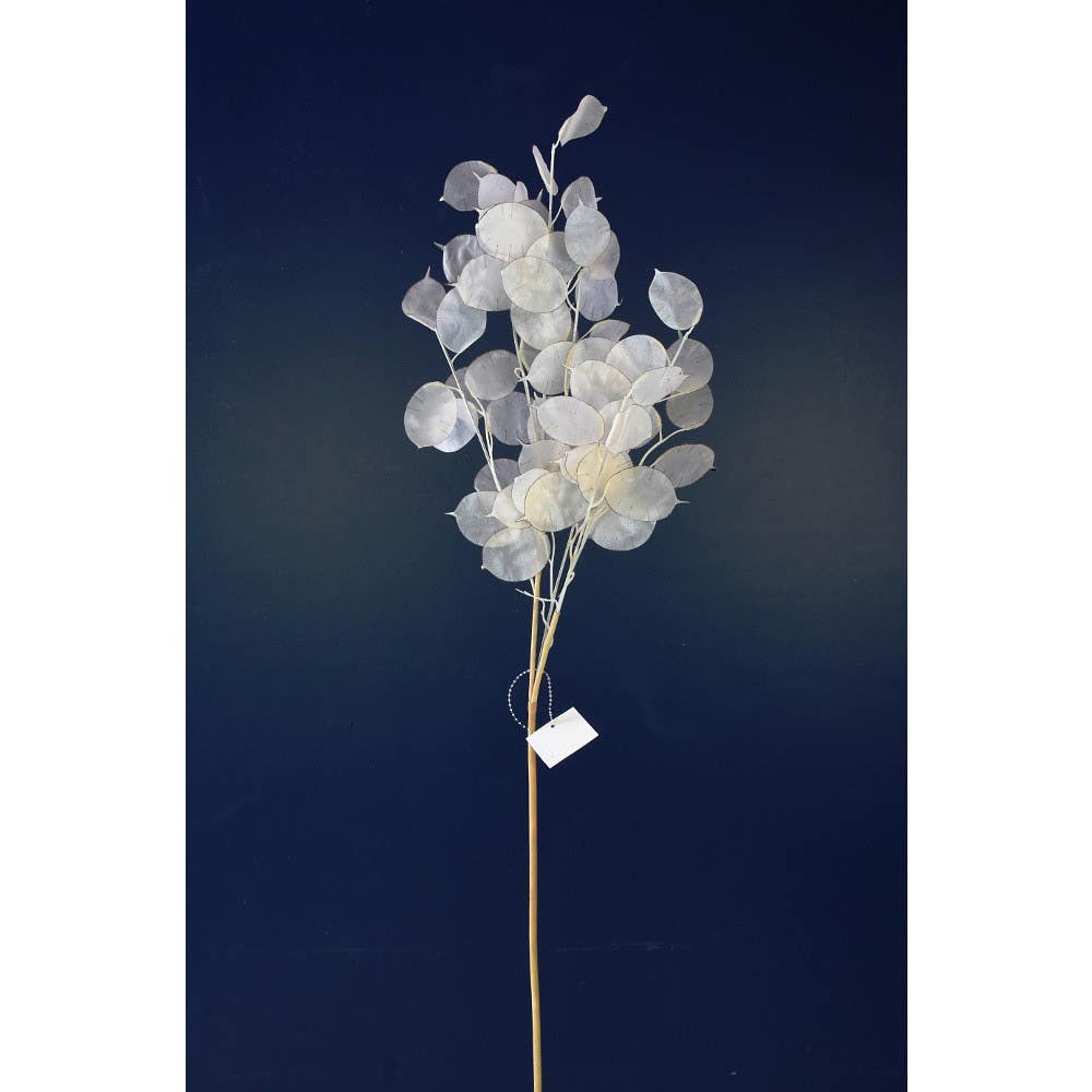 28 Ivory Luneria Stem