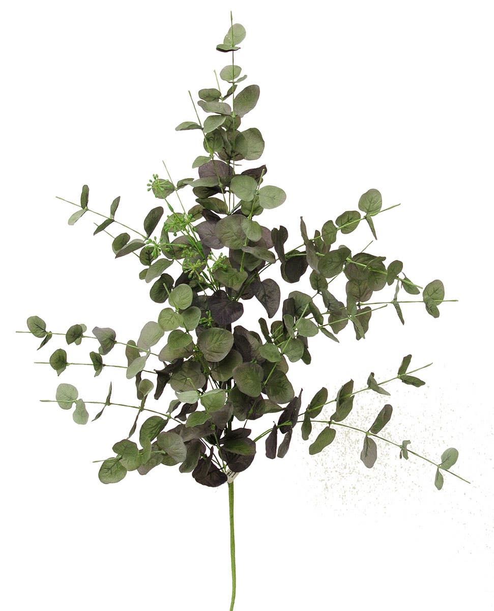 36 Dark Green Eucalyptus Spray