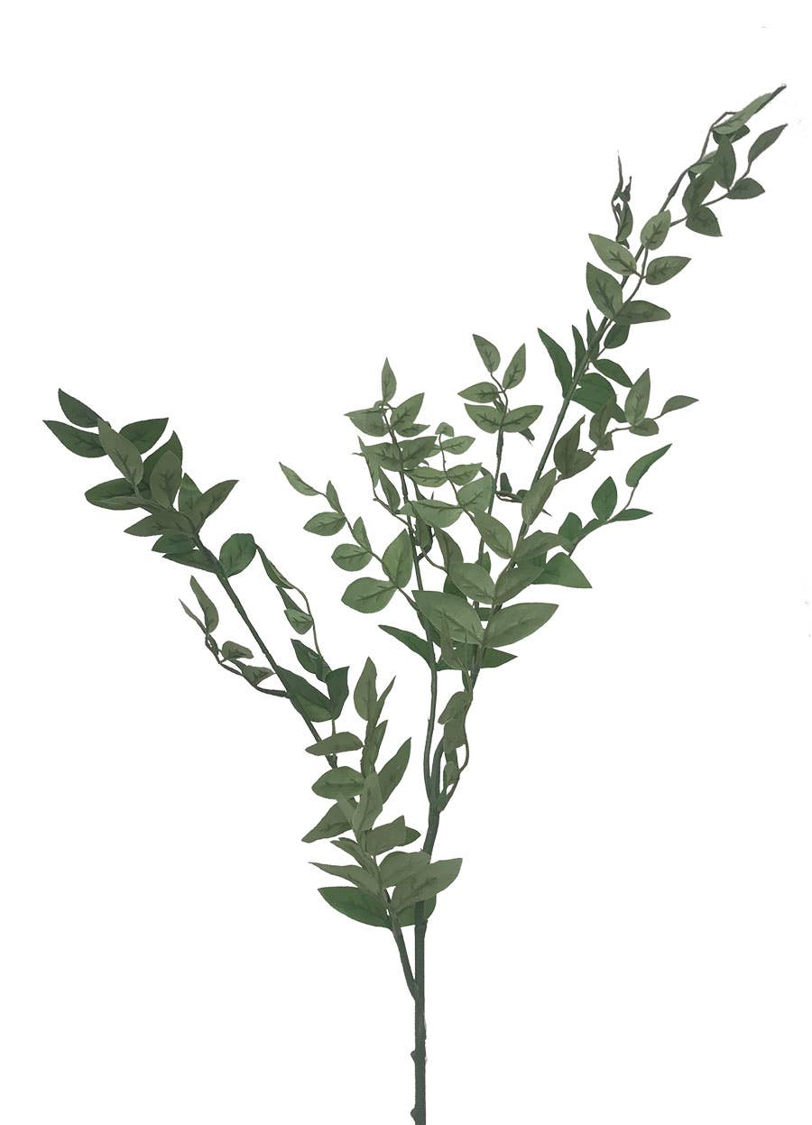42 Green Smilax Branch