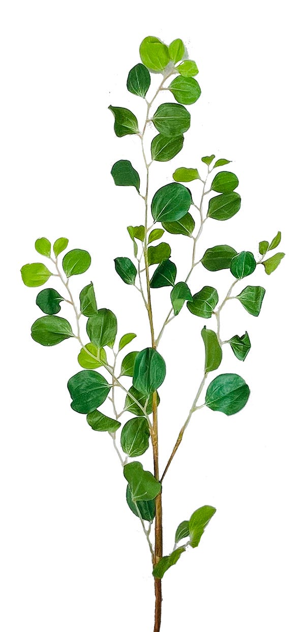 37 Green Summer Camellia Branch