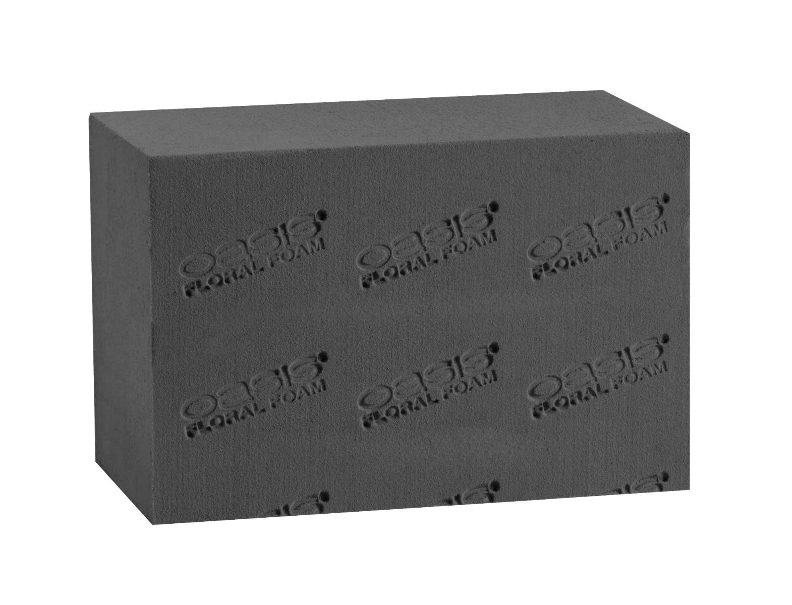 Oasis Midnight Grande Foam, 20-Case