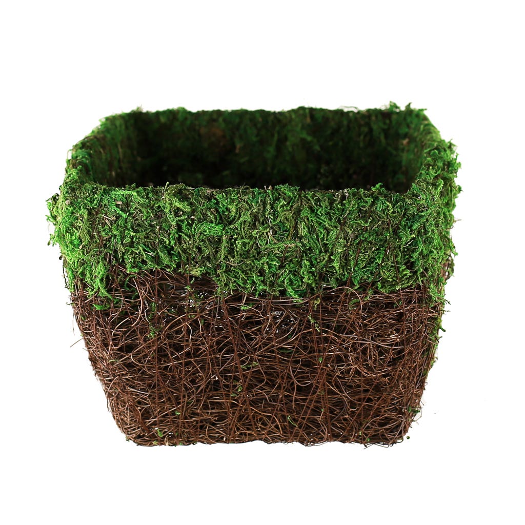 7.5 Square Moss Maya Planter
