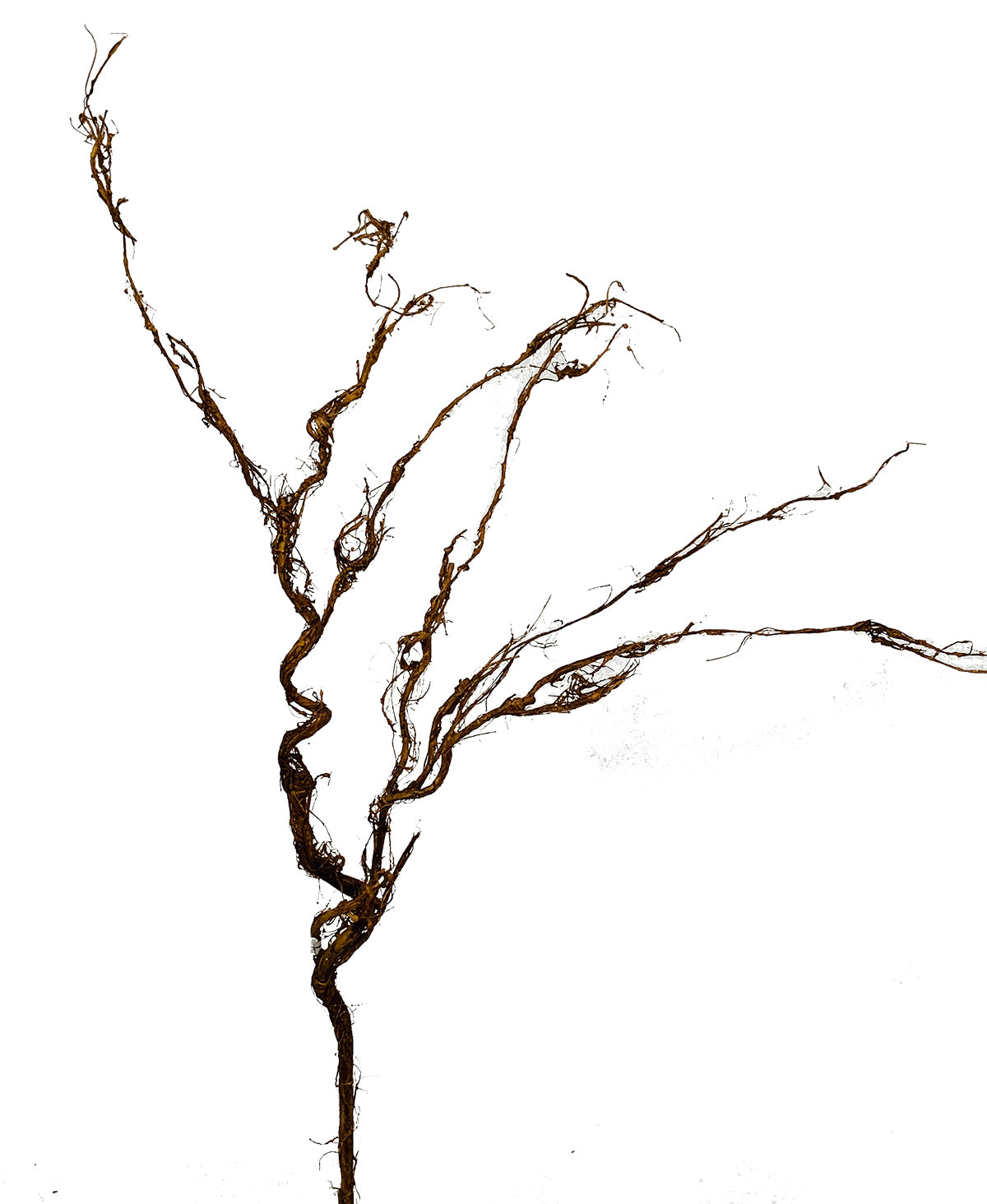 33" Willow Forest Branch