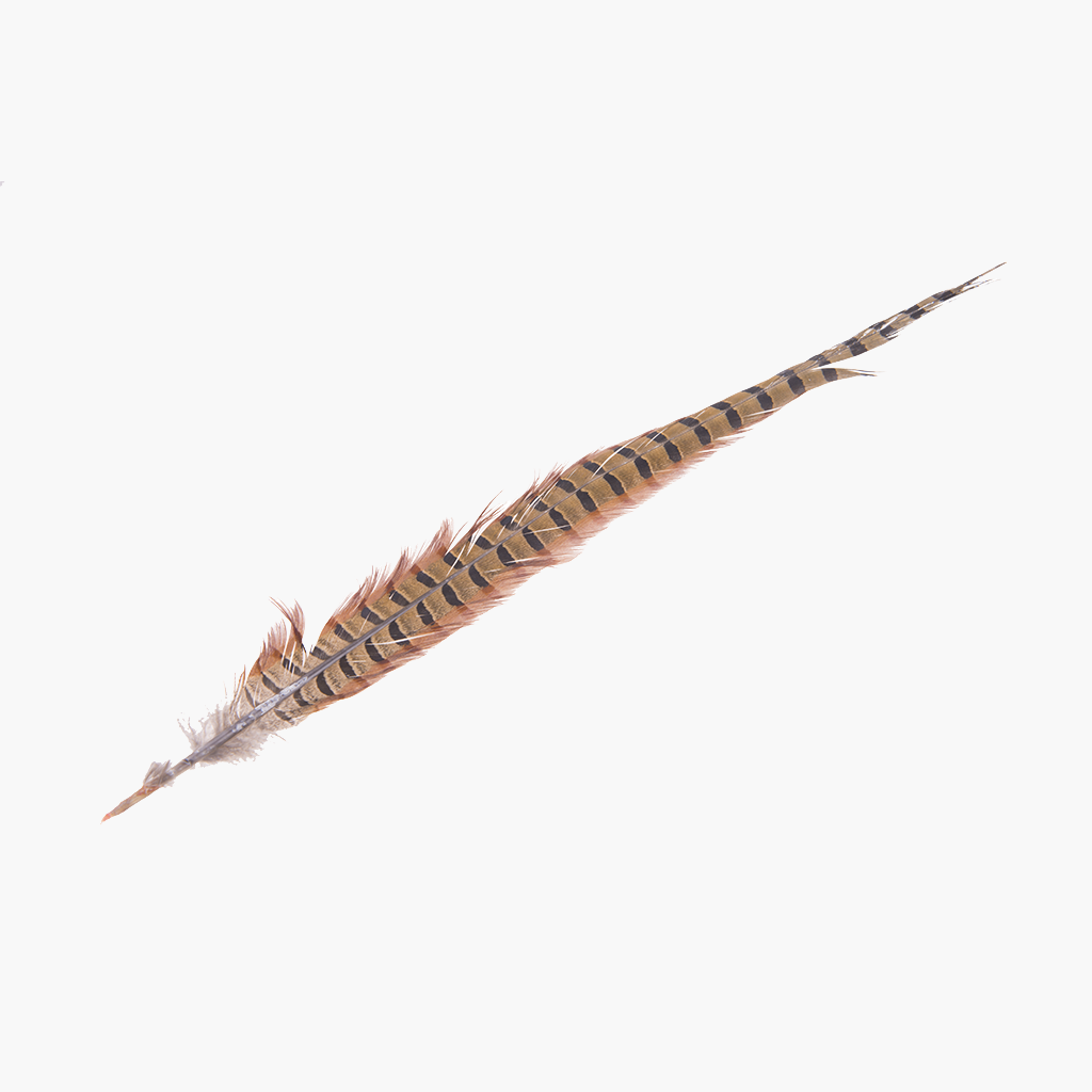 22 Natural Pheasant Feathers, 12-Pack