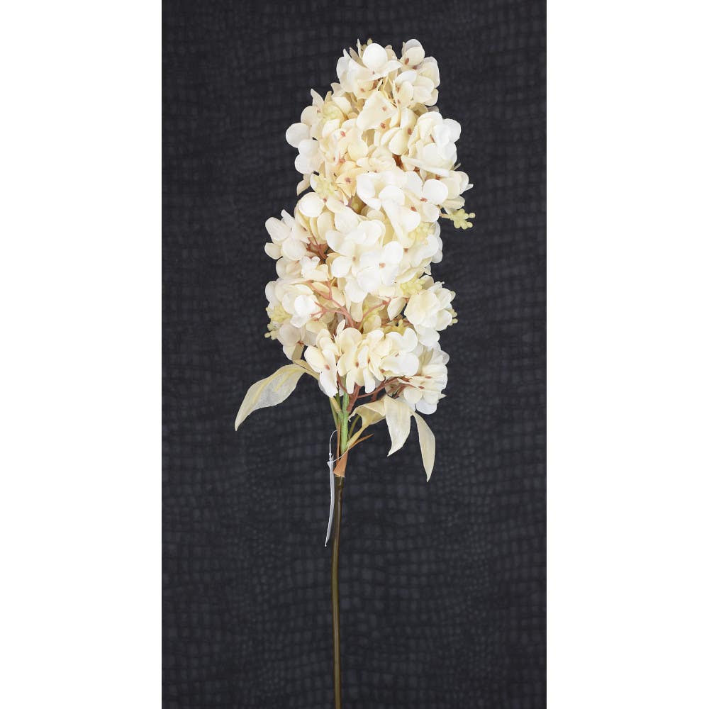36 Cream Hydrangea Spray