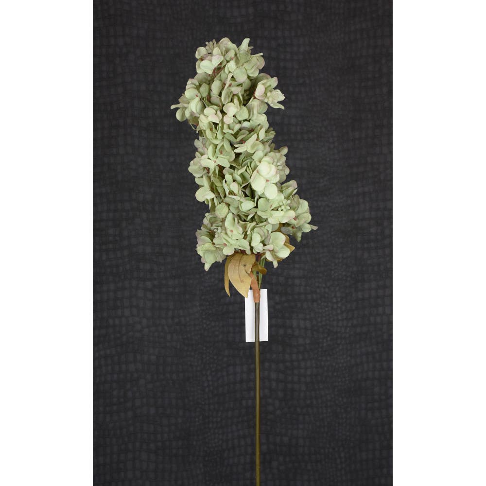 36 Green Hydrangea Spray