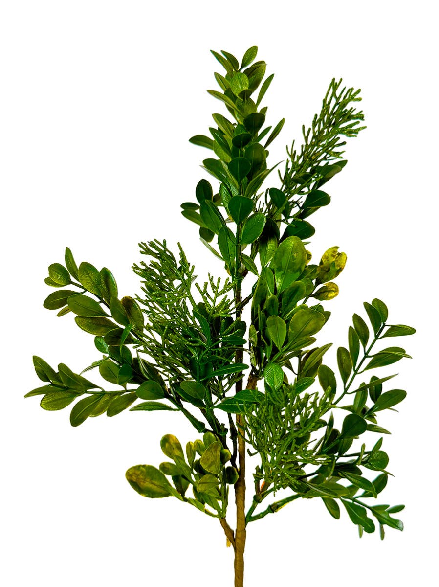8 x 16 Green Boxwood Cedar Spray