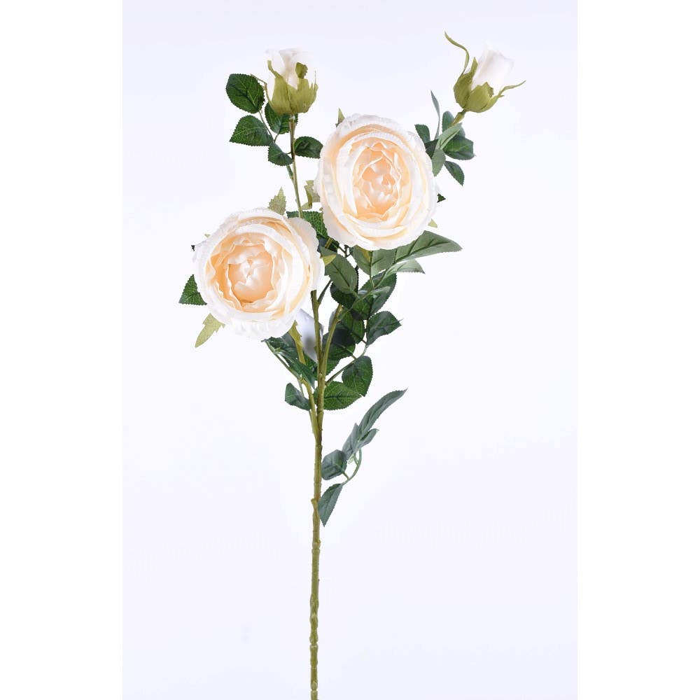 34 Cream Rose Spray