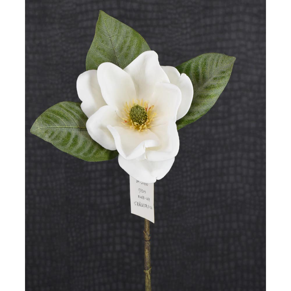 15 White Magnolia Pick
