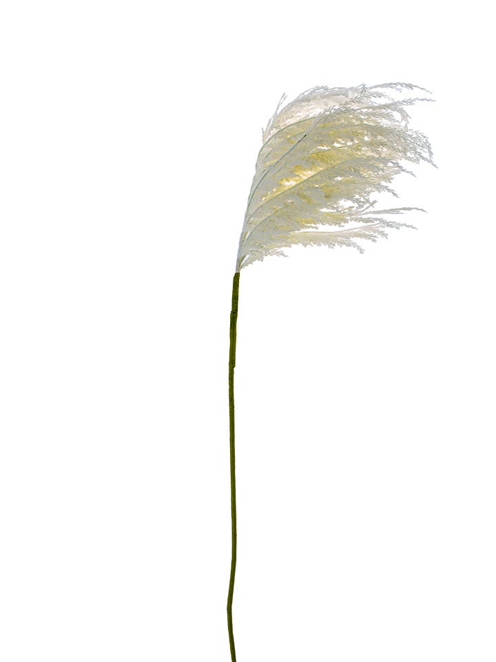 60 Cream Pampas Grass Spray