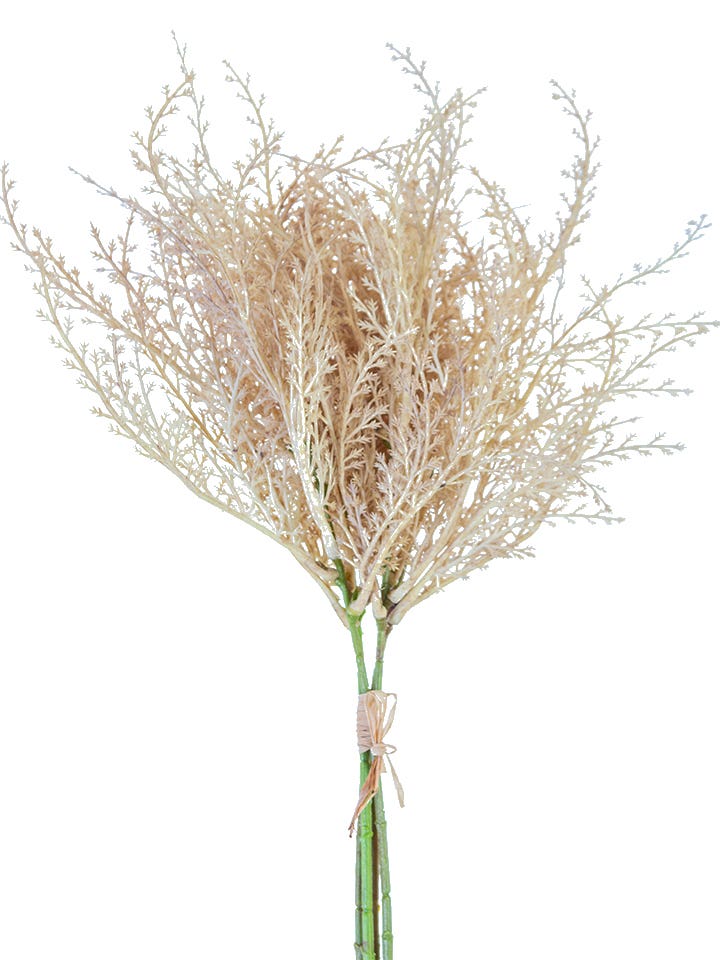 17 Beige Pampas Bundle