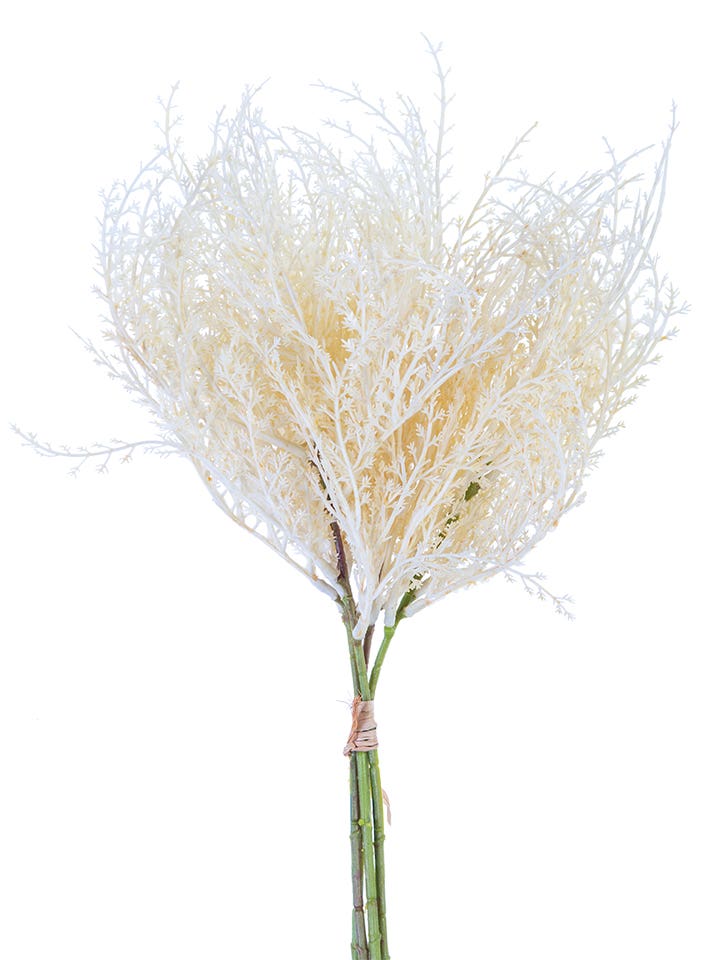 17 Cream Pampas Bundle