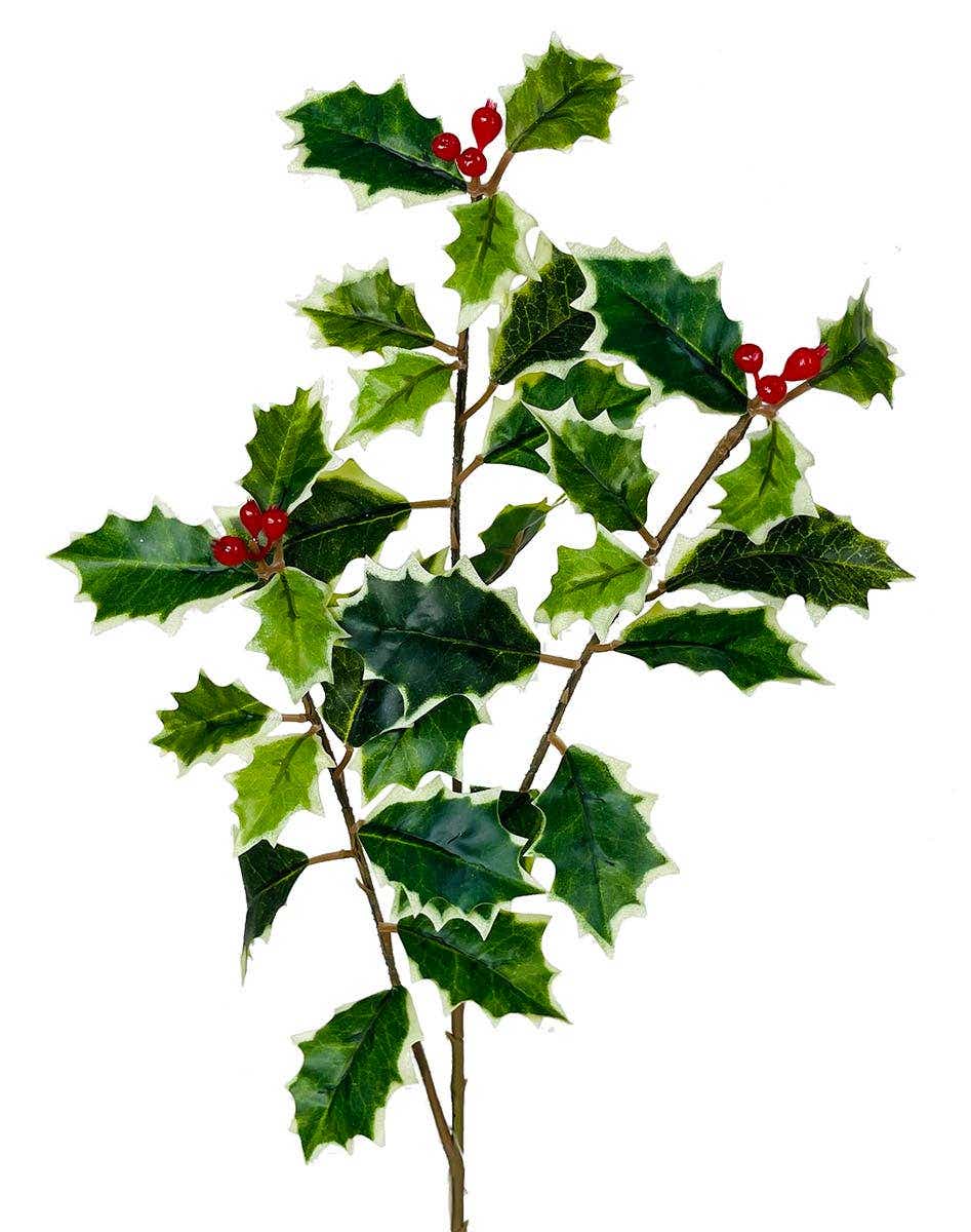 20 Holly Spray