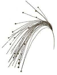36 Gold Curly Tinsel Bead Spray
