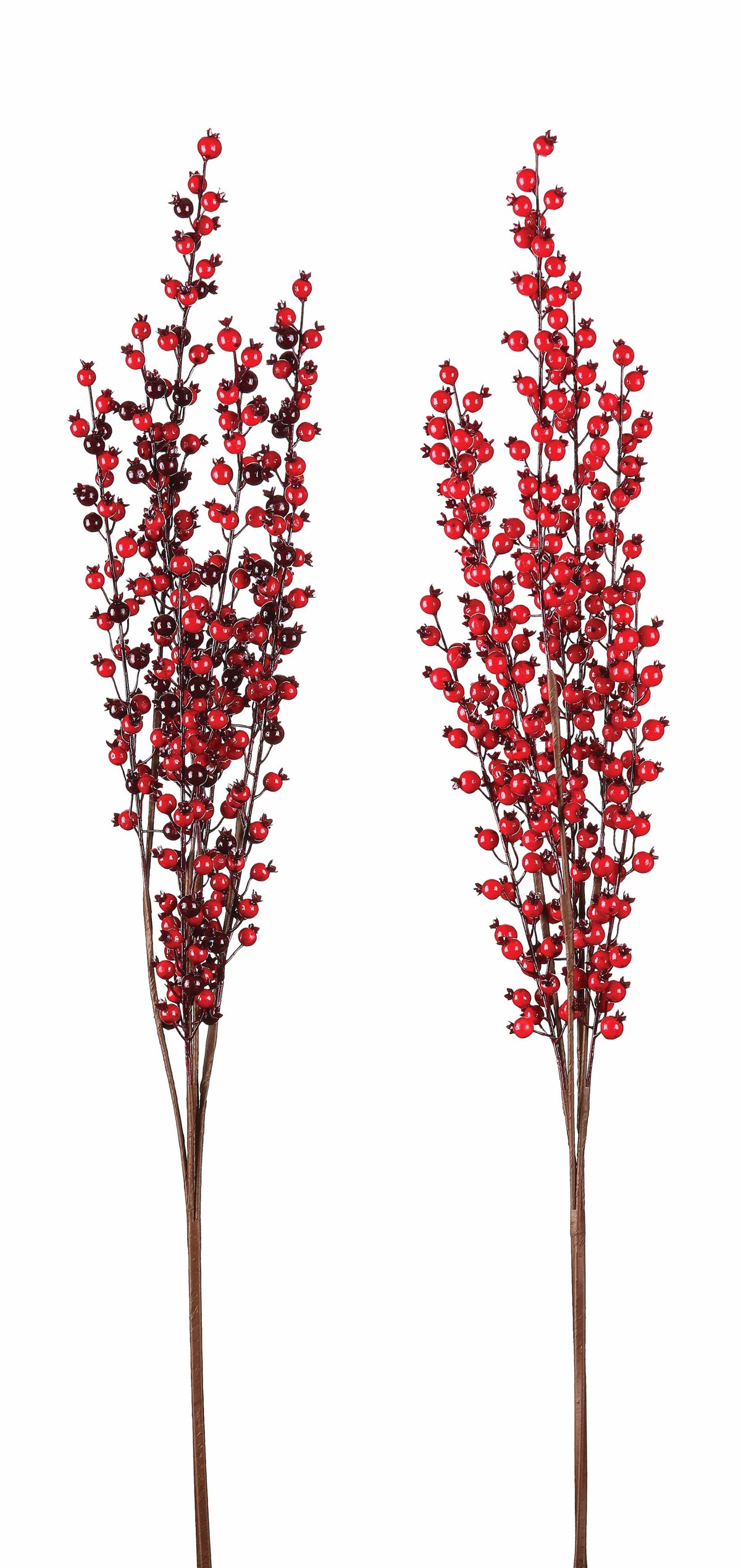33" Red Spike Berry Bush
