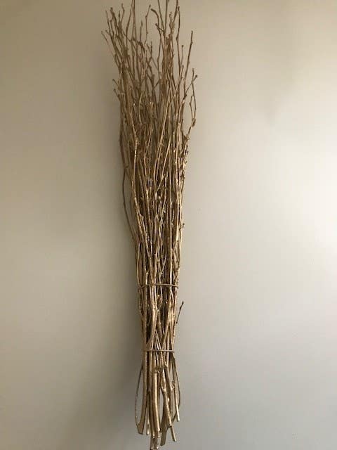 24 Gold Birch Branches, 20-Bunch