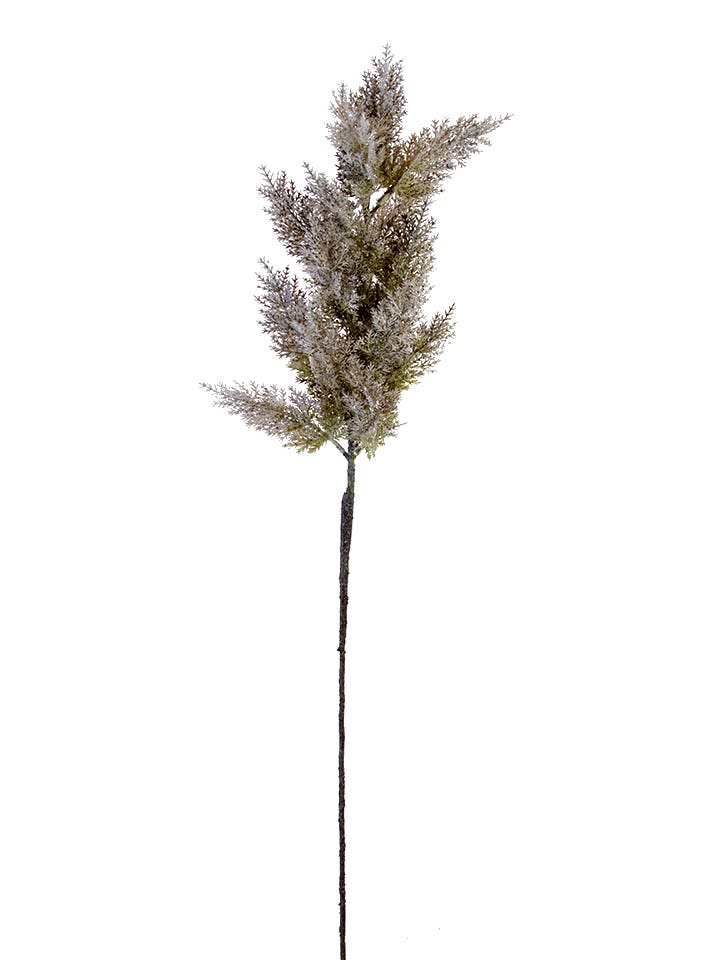 36 Lavender Gray Pampas Spray