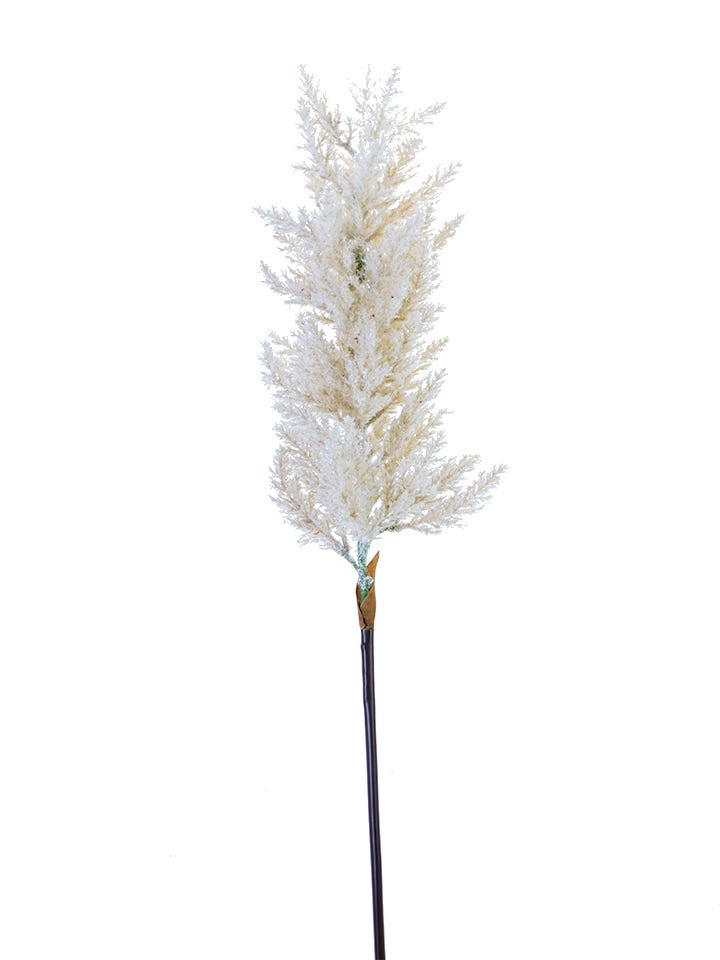 34 Cream Astilbe Spray