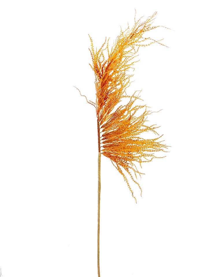 50 Peach Plume Grass Spray