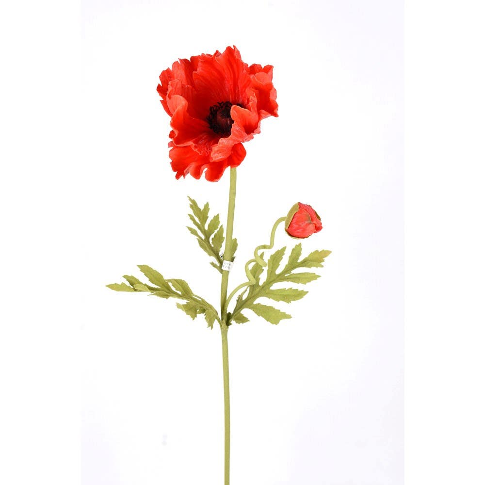 25 Red Fresh Touch Poppy Stem