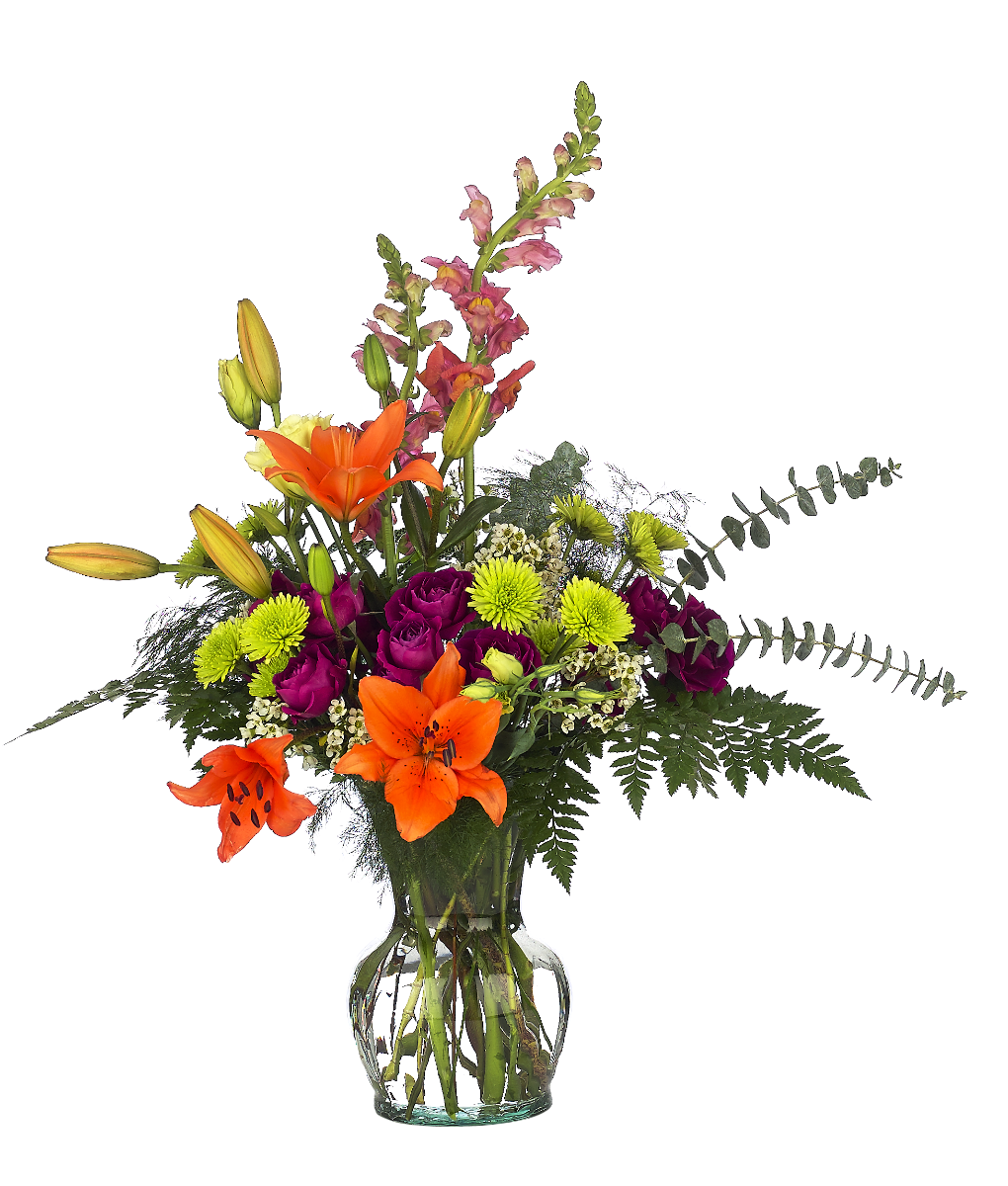 9 Rio Clear Glass Vases, 6-Case