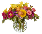 9.25 Rio Clear Glass Vases, 6-Case