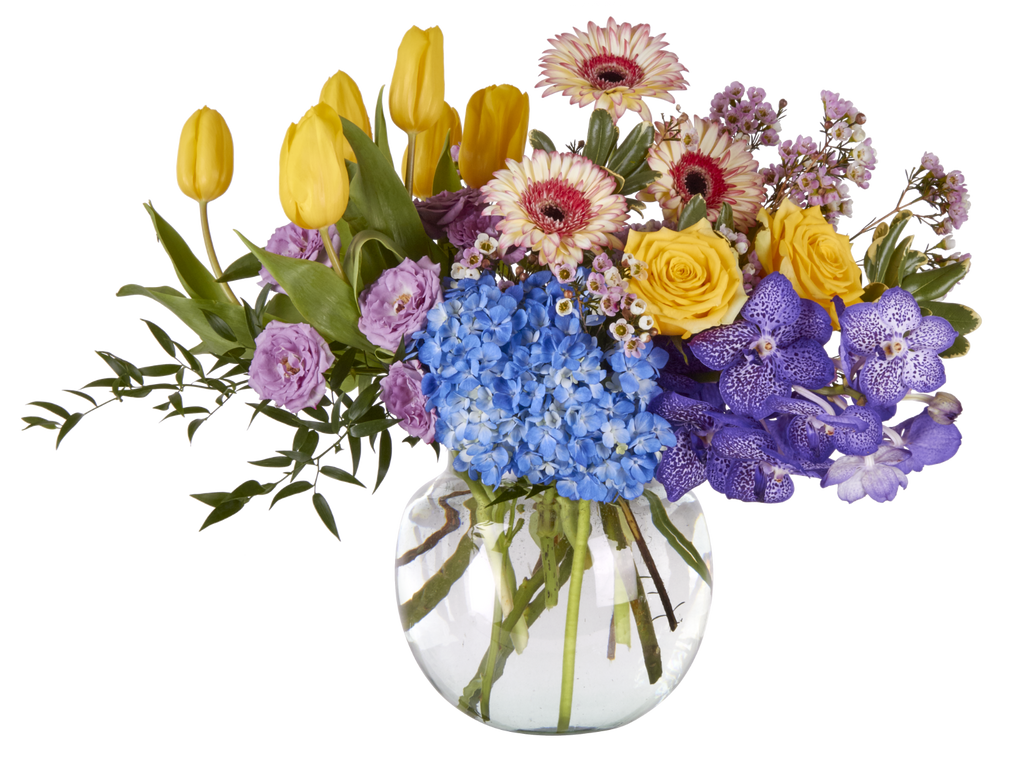 9.25 Rio Clear Glass Vases, 6-Case