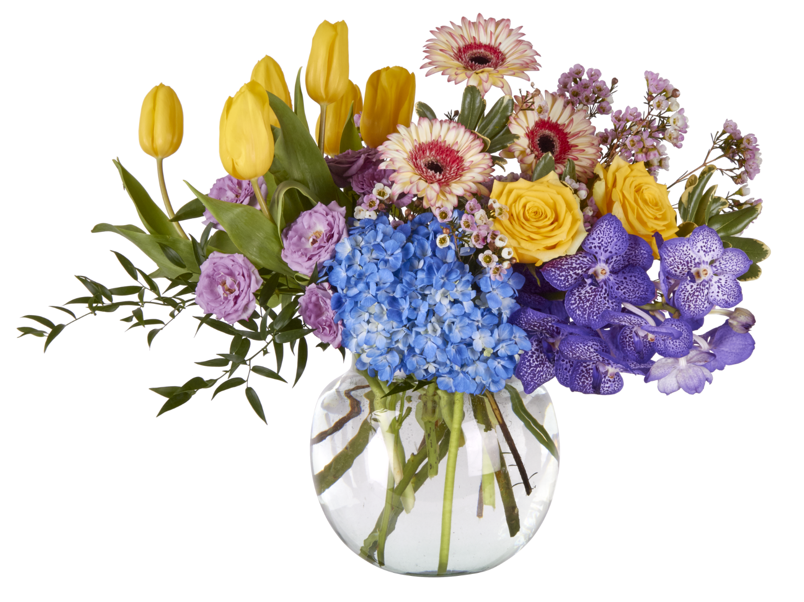 9.25 Rio Clear Glass Vases, 6-Case
