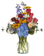 10.25 Rio Clear Glass Vases, 6-Case