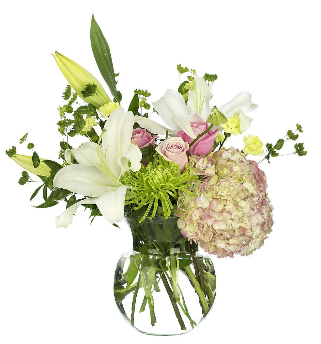 7.75 Rio Clear Glass Vases, 6-Case