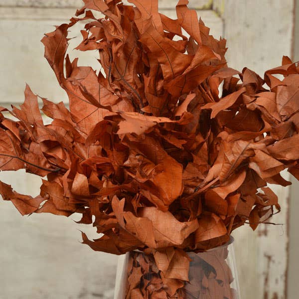 1 lb Tranparent Rust Oak Leaves