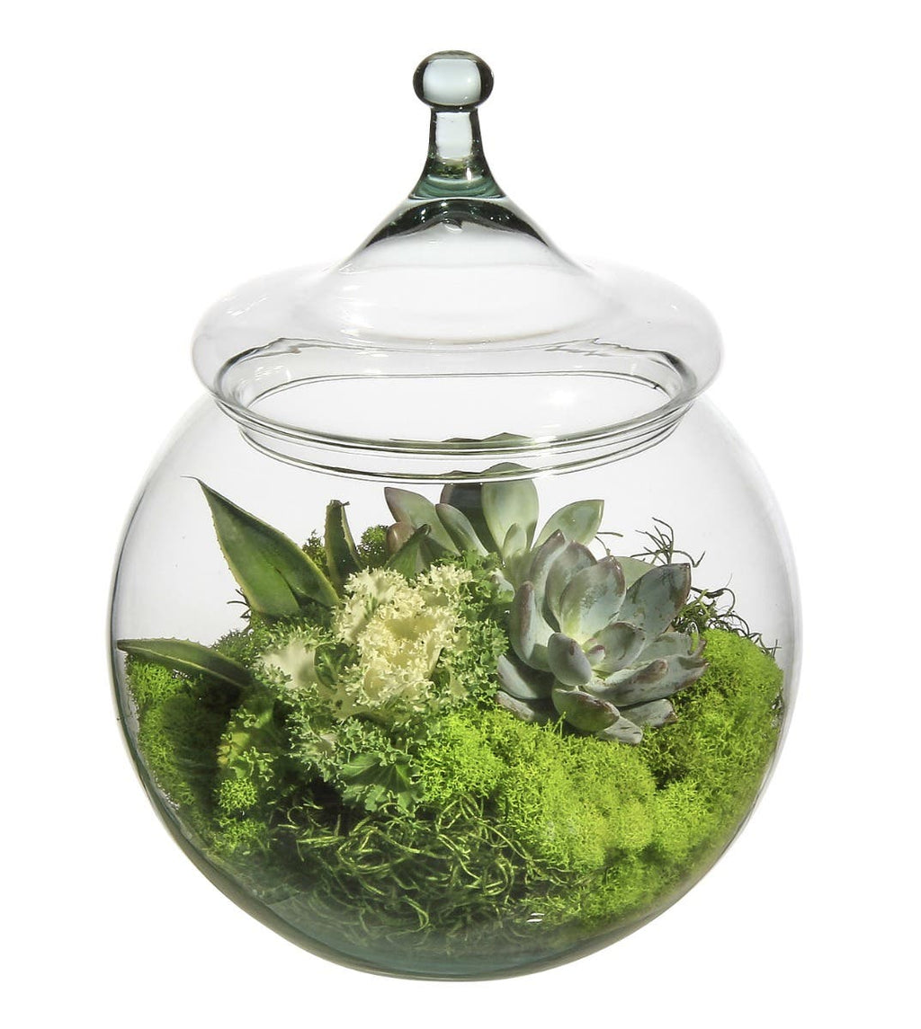 10 Clear Glass Bubble Bowls, 2-Case