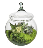 10 Clear Glass Bubble Bowls, 2-Case