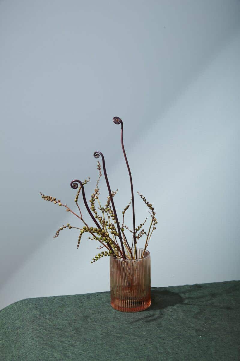 4x5.5 Coral Bellini Glass Vase, 24-Case