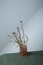 4x5.5 Coral Bellini Glass Vase, 24-Case