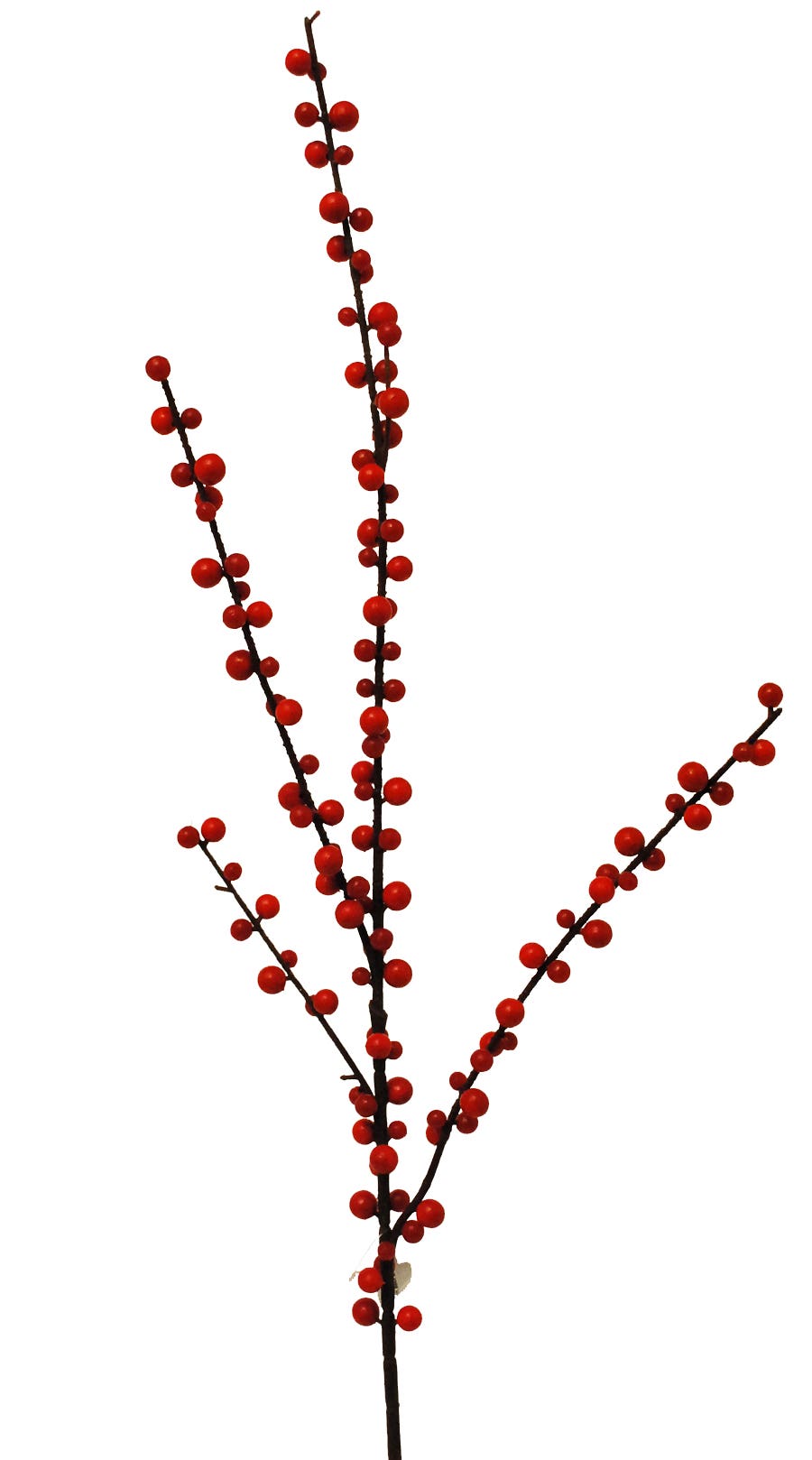 29 Red Berry Branch