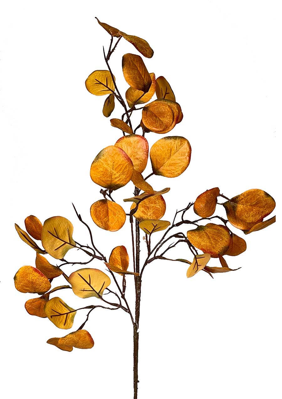 28 Orange Eucalyptus Harvest Spray