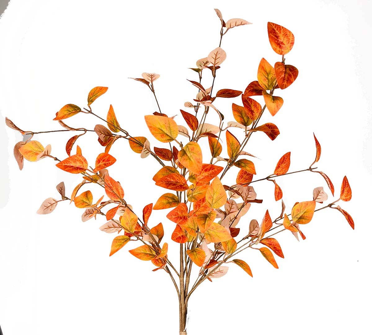 36 Flame Beech Branch Bundle