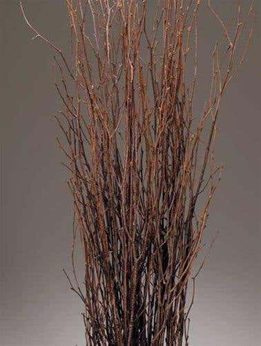 Natural Birch Branches, 25-Bunch