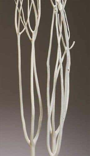4' Bleached Mitsumata, 3-Bunch