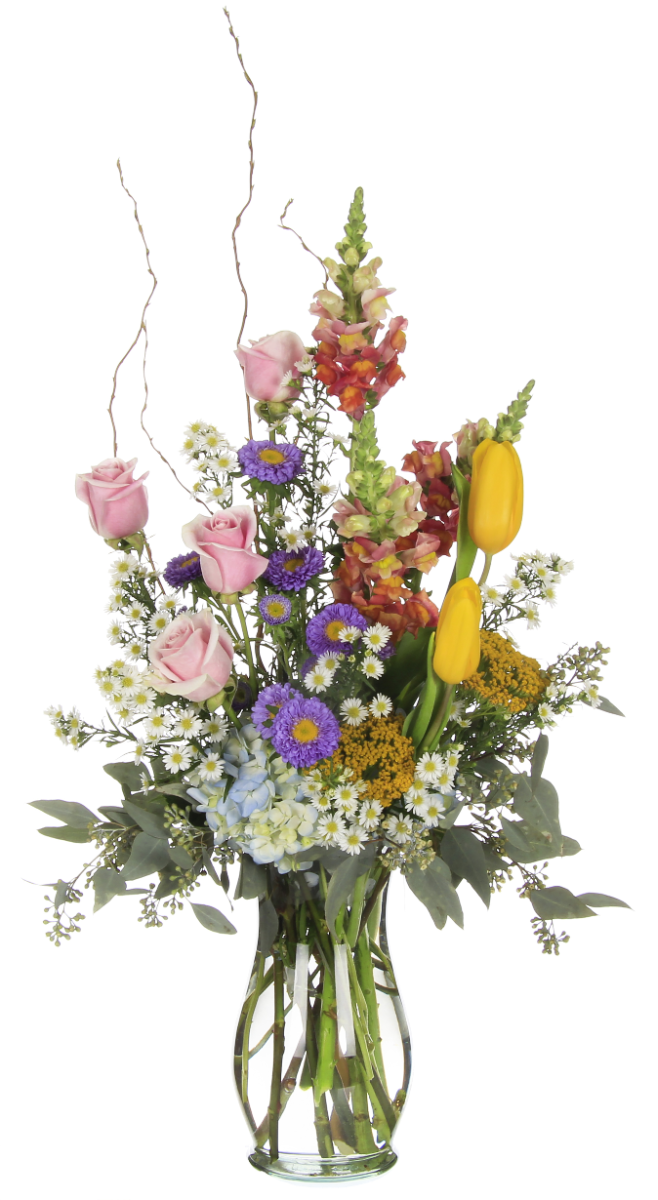 8.5 Gala Clear Glass Vases, 12-Case