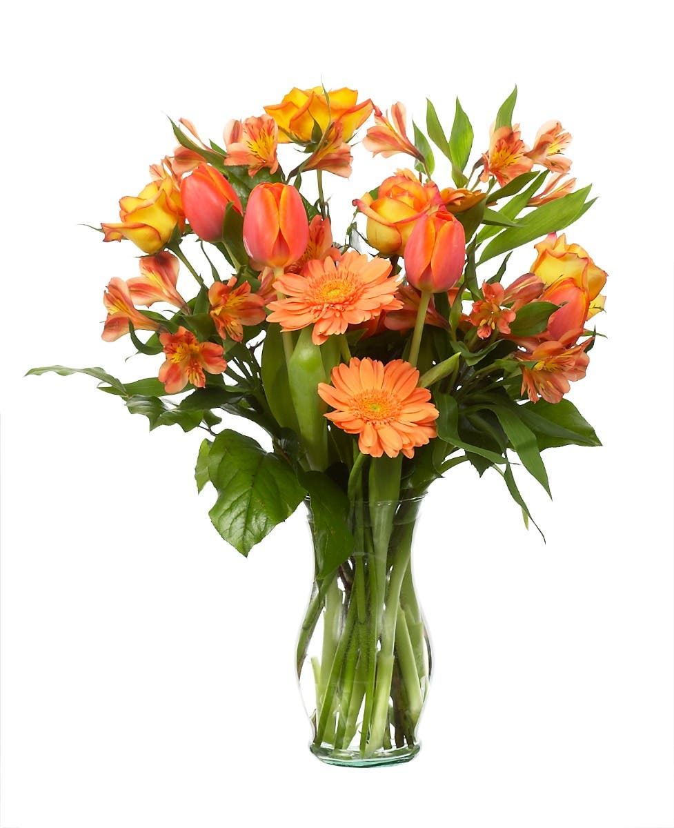 8.5 Gala Clear Glass Vases, 12-Case