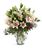 10.25 Clear Glass Garden Vases, 6-Case